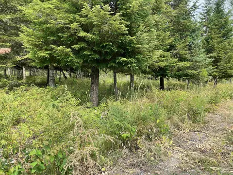 192 W Joyner Dr, Cusick, WA 99119 photo 9