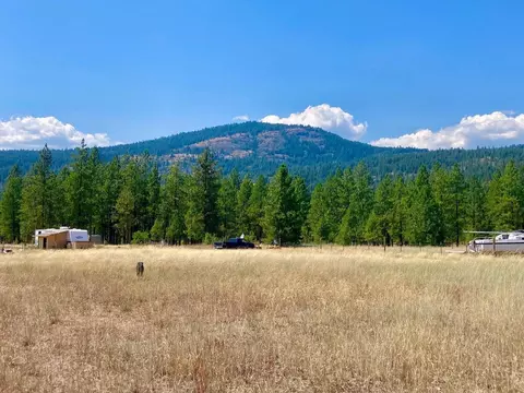 32 Tipton Rd, Kettle Falls, WA 99141