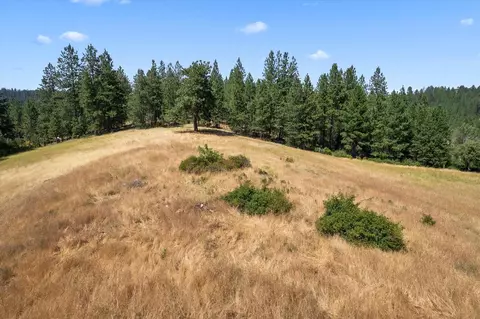 5724 S Saltese Lake Rd, Greenacres, WA 99016