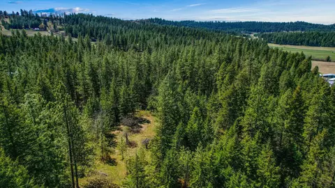 10700 E Halliday Rd, Colbert, WA 99005 photo 7