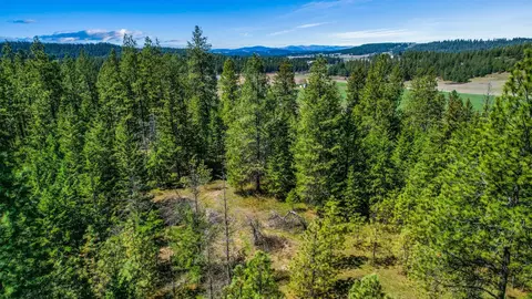 10700 E Halliday Rd, Colbert, WA 99005 photo 6