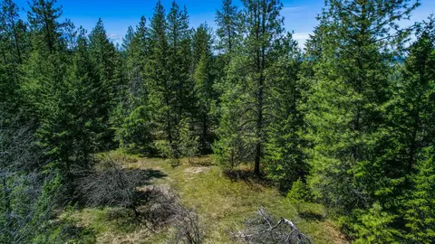 10700 E Halliday Rd, Colbert, WA 99005 photo 5