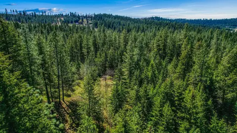 10700 E Halliday Rd, Colbert, WA 99005 photo 10