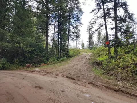 20 Nn Veit Rd, Newport, WA 99156