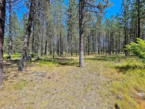 21306 N Myrtle Rd, Colbert, WA 99005 photo 27