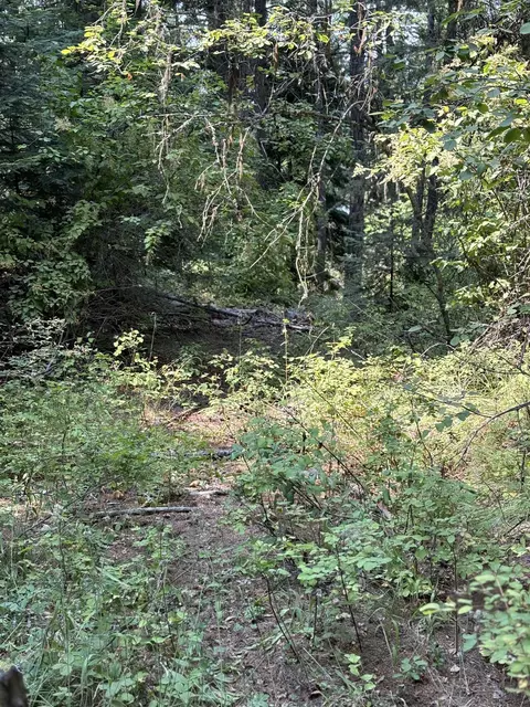 lot S 17-18 Lillooet Dr, Inchelium, WA 99138