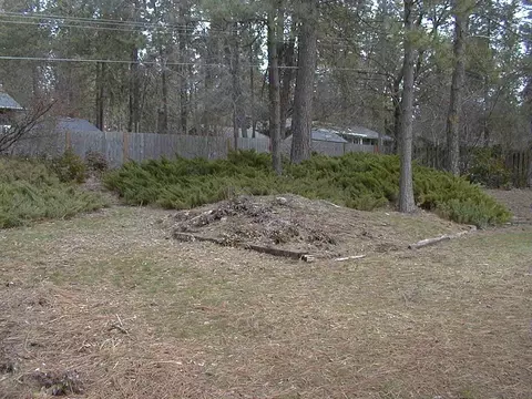 12903 E 26th Ave, Spokane Valley, WA 99216 photo 3