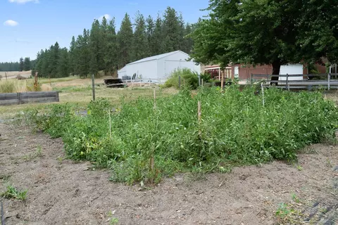 6401 E Greenbluff Rd, Colbert, WA 99005 photo 40