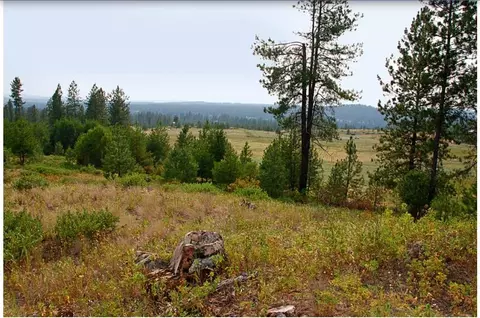 290 N Nn N Hardesty Rd, Chattaroy, WA 99003