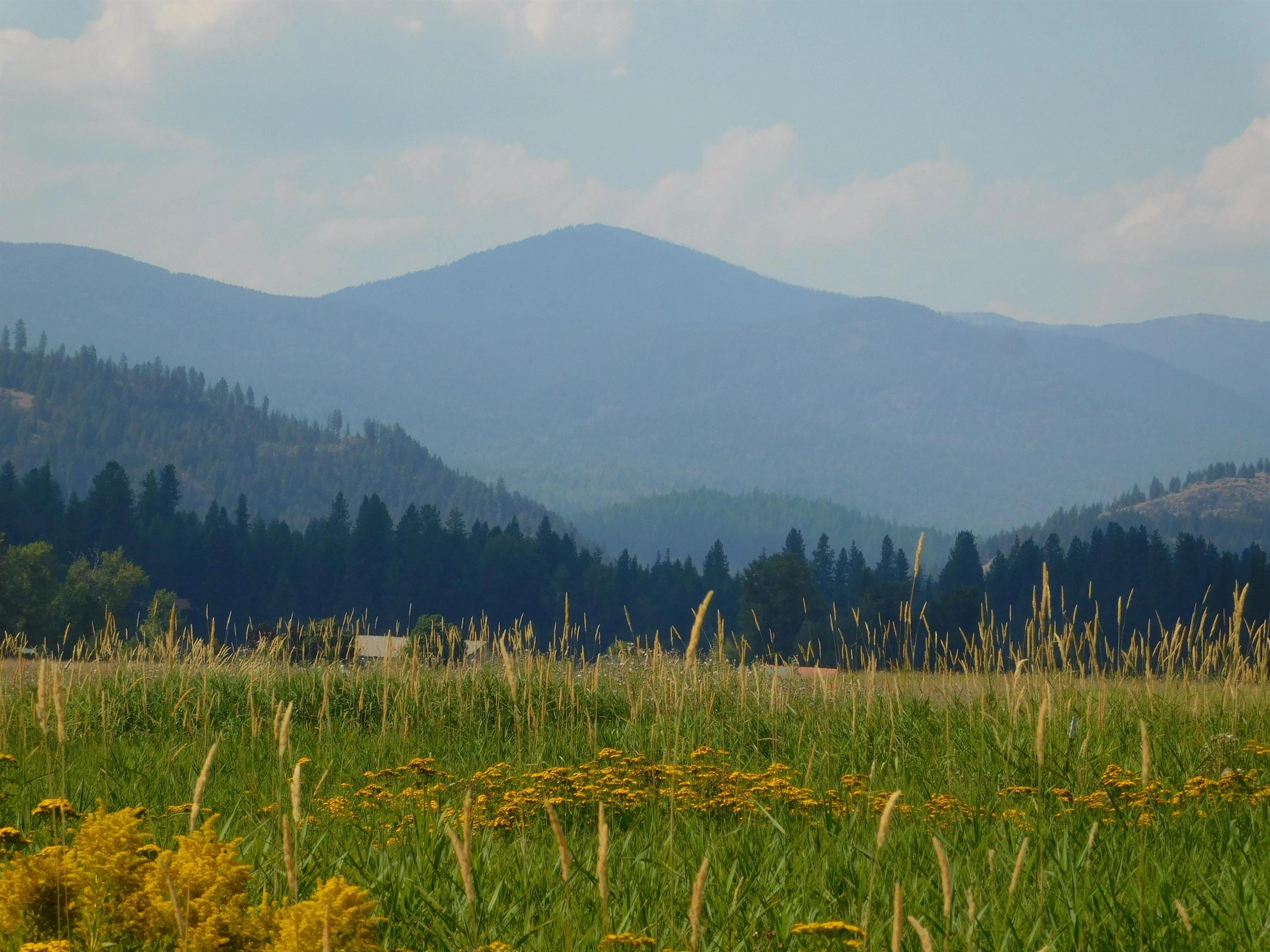 156 S Reflection Dr Unit 156 REECTION Dr S