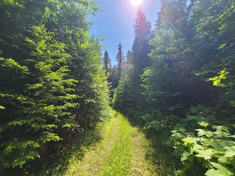 tbd Trombetta Rd, Colville, WA 99114