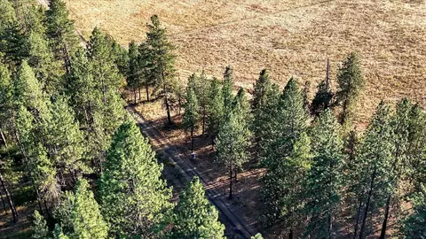tbd N Regal Rd, Chattaroy, WA 99003