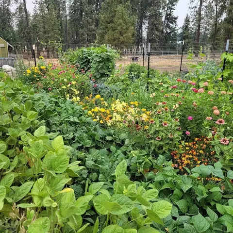 20811 S Parker Rd, Spangle, WA 99031 photo 48