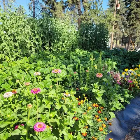 20811 S Parker Rd, Spangle, WA 99031 photo 50