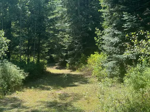 45 Nn Williams Valley Rd, Clayton, WA 99110