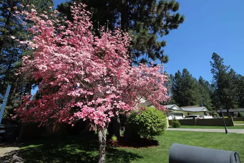 9709 E Crossbow Ct, Spokane Valley, WA 99206 photo 34