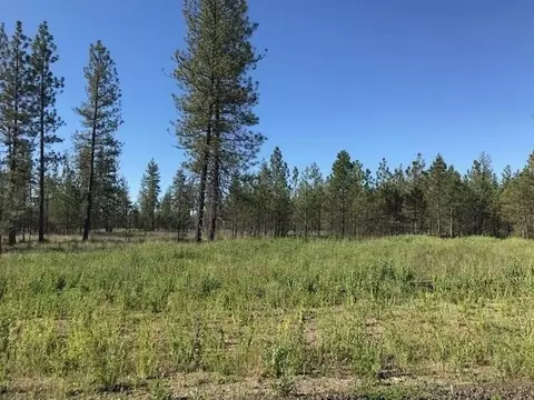 5742 J Corkscrew Canyon Rd, Tumtum, WA 99034