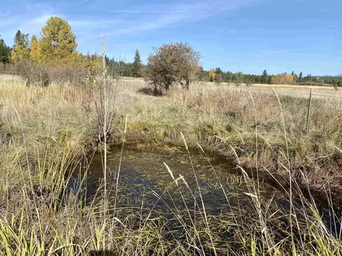 19762 Westside Calispel Rd, Cusick, WA 99119 photo 41