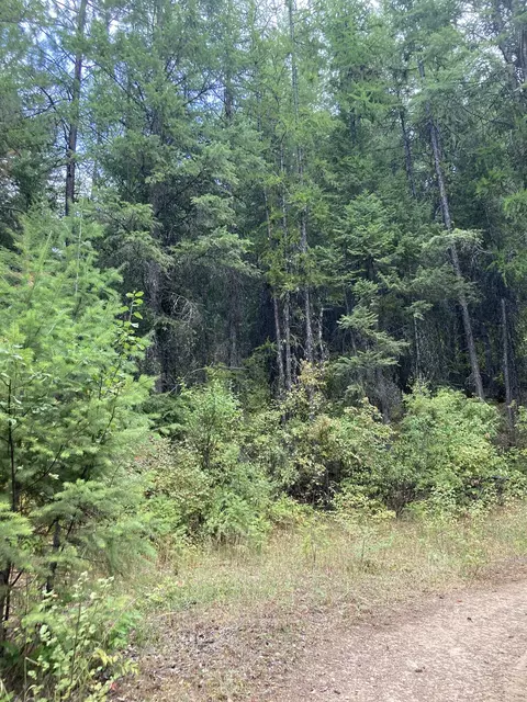 1752 C Duncan Rd, Chewelah, WA 99109