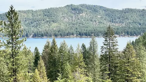 4040 Southwood Shores Rd, Loon Lake, WA 99148
