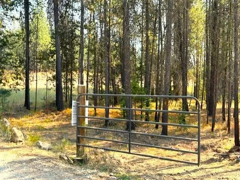 4171 Lyon And Moss Rd, Loon Lake, WA 99148