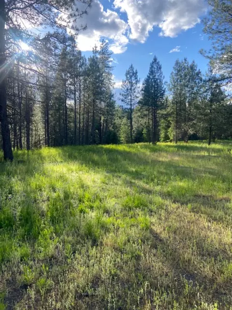 36419 N Findley Rd, Deer Park, WA 99006