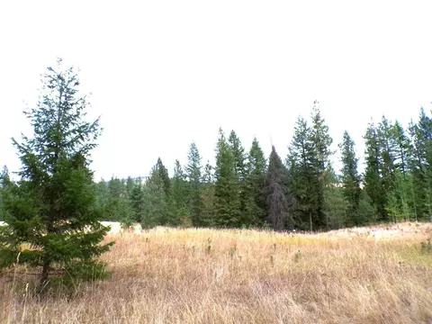 Nn Cedar Creek Rd, Inchelium, WA 99138