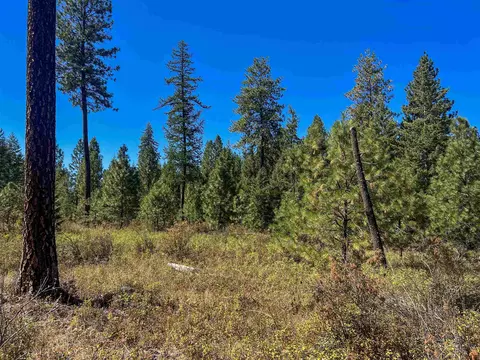 52 Nn Lot 2 Swenson Rd, Deer Park, WA 99006