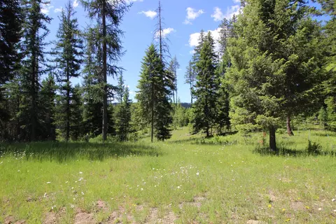 20281 N Leclerc Rd, Cusick, WA 99119 photo 37