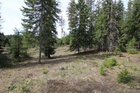 20281 N Leclerc Rd, Cusick, WA 99119 photo 43