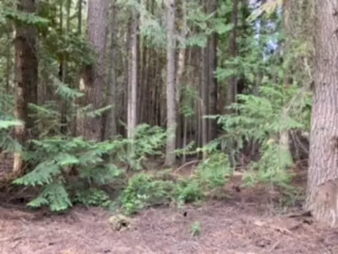 Nka. Leslie Creek Rd, Chewelah, WA 99109