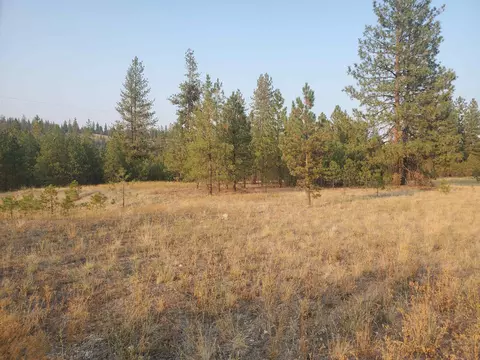 7770 Highway 291 Hwy # B, Ford, WA 99013