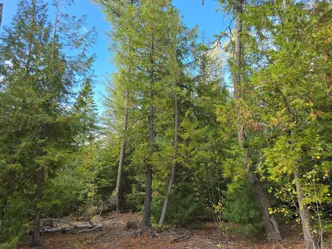 39 Nn Old Garvey Rd, Colville, WA 99114