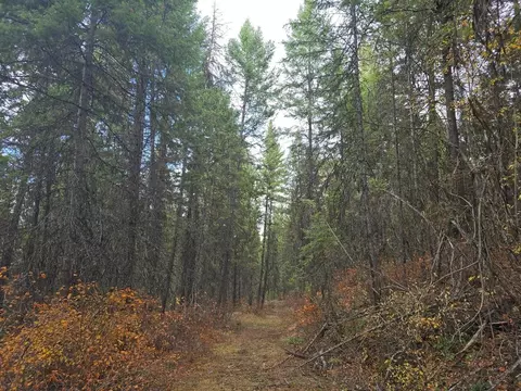 2423 Nn Quinns Meadow Rd, Colville, WA 99114