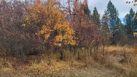 216 Calispel Ave, Cusick, WA 99119 photo 7