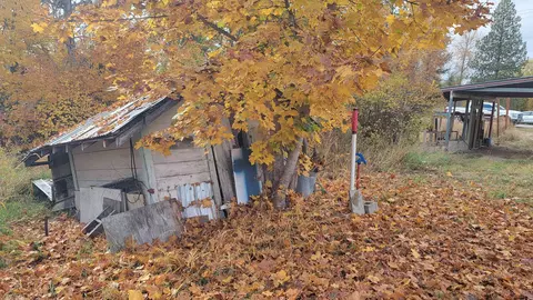 216 Calispel Ave, Cusick, WA 99119 photo 9