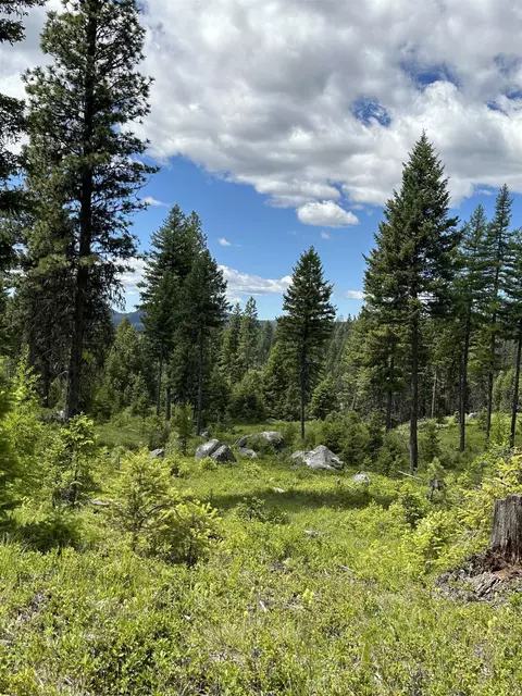 tbd Lot 8 Sheridan Rd, Republic, WA 99166