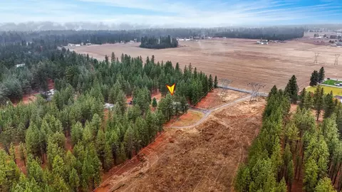 4924 E Woolard Rd, Colbert, WA 99005 photo 9