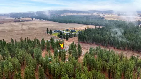 4924 E Woolard Rd, Colbert, WA 99005 photo 11