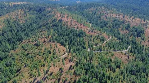 52 Nn Lot 6 Swenson Rd, Deer Park, WA 99006