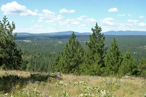 lot33 E Robin Ln, Chattaroy, WA 99003