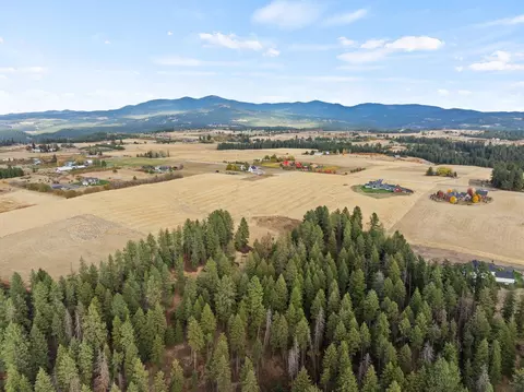 17805 N Dunn Rd, Colbert, WA 99005 photo 39