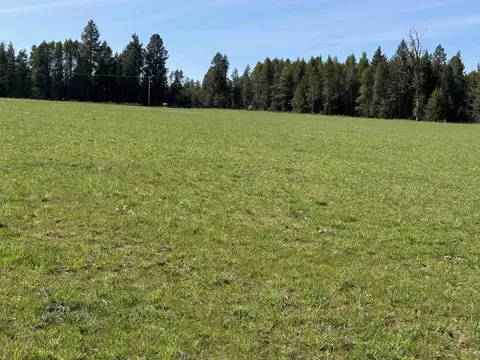 29210 N Spotted Rd #PARCEL A, Deer Park, WA 99006