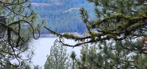 34 Nn Daisy Mine Rd, Rice, WA 99167