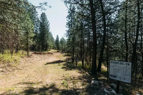 lot19 E Robin Ln, Chattaroy, WA 99003