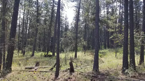 lot3 55xx Rocky Top Way, Deer Park, WA 99006