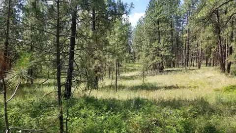 lot1 Glen Grove-staley Rd, Deer Park, WA 99006