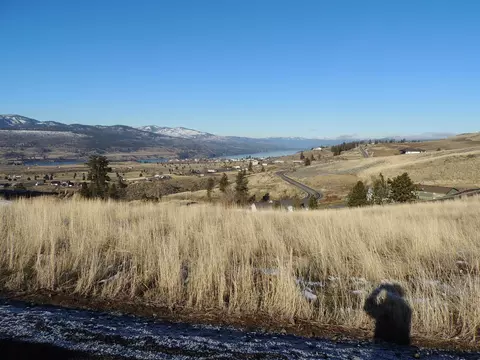 40975 Scenic Dr N, Davenport, WA 99122