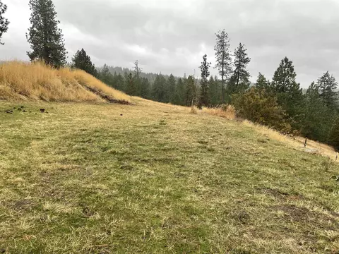 16635 E Foothills Rd, Spokane, WA 99217 photo 9