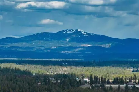 Nka Dalton Rd. Parcel #28353.9077 Rd, Deer Park, WA 99006